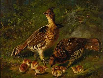 一对皱褶松鸡和幼松鸡`Pair Ruffed Grouse And Young (1871) by Arthur Fitzwilliam Tait