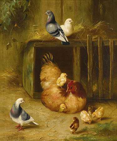 鸽子和小鸡和母鸡`Pigeons And Chicks With Mother Hen by Edgar Hunt
