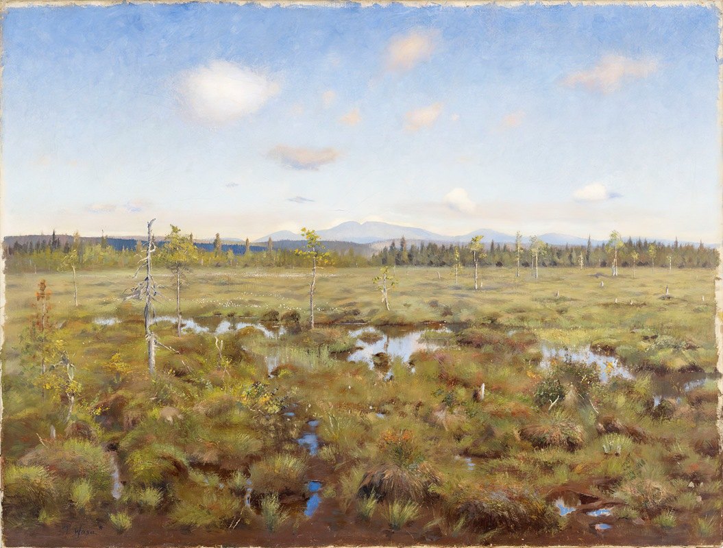 拉普兰风景`Landscape from Lapland (1892) by Torsten Wasastjerna