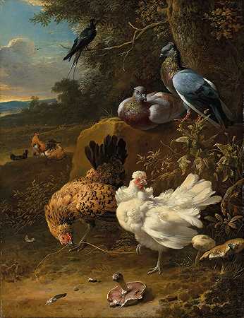风景中的鸡和鸽子`Chickens and pigeons in a landscape by Melchior d&;Hondecoeter