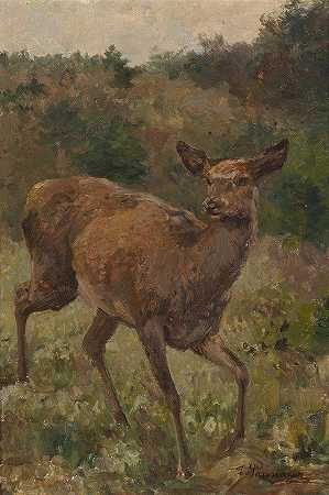 鹿`Rotwild by Franz Xaver von Pausinger
