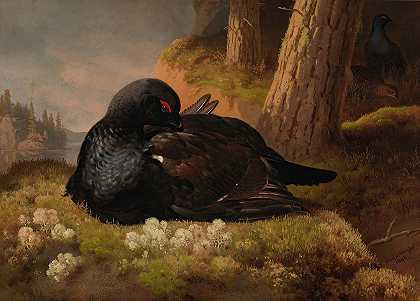 黑松鸡`Black Grouse (1864) by Ferdinand von Wright