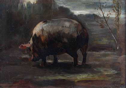 仔猪研究`Studio di maialino (1889) by Cesare Viazzi