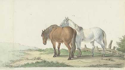 一匹棕色和白色的马在篱笆旁边的路上`Een bruin en wit paard op een weg naast een hek (1802) by Jean Bernard