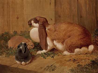 一只垂耳母兔和她的幼崽`A Lop~Eared Doe Rabbit and her Young (1865) by Benjamin Herring