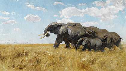 迁徙的大象`Migrating Elephants