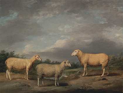 瑞兰羊，国王国王拉姆s母羊和萨默维尔勋爵Wether呢`Ryelands Sheep, the Kings Ram, the Kings Ewe and Lord Somervilles Wether (1801~1807) by James Ward