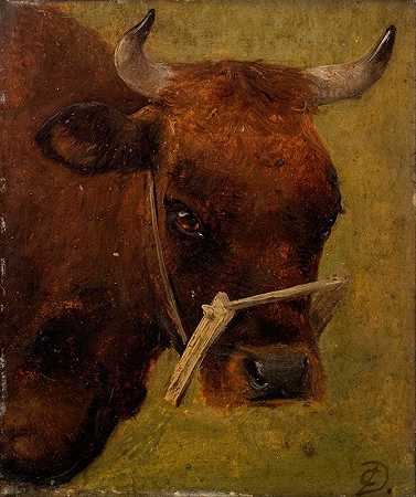 牛头。学习`Head of a cow. Study (1845) by Carlo Dalgas