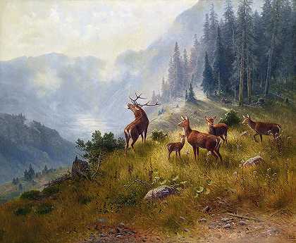 高山上的鹿`Deer In The High Mountains