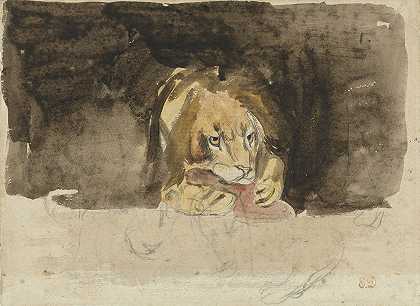 食肉狮子，从前面看，在黑暗的背景下出现`Vleesetende leeuw, van voren gezien, uitkomende tegen een donker fond (1824 ~ 1829) by Eugène Delacroix