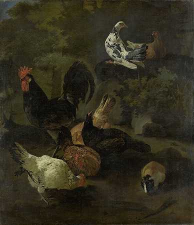 一只公鸡、母鸡、鸽子和一只土拨鼠`A Cock, Hens, Doves, and a Marmot (1674) by Jacomo Victors