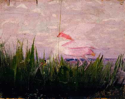 玫瑰琵鹭，动物界藏书着色研究`Roseate Spoonbill, study for book Concealing Coloration in the Animal Kingdom (ca. 1905~1909) by Abbott Handerson Thayer