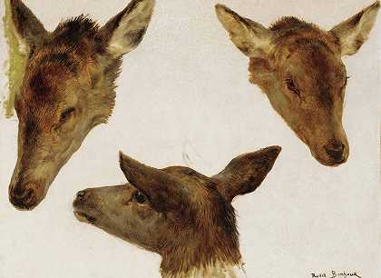 鹿头的研究`Study Of Deer Heads by Rosa Bonheur