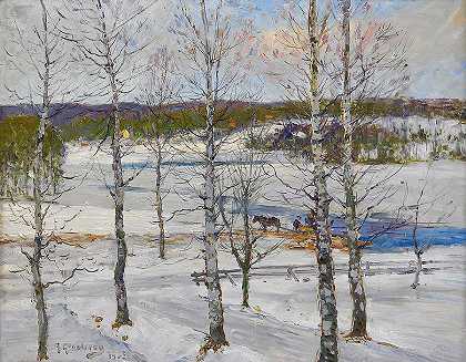 有桦树的北方冬季景观`Northern Winter Landscape With Birches