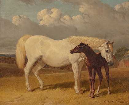 母马和小马驹`Mare and foal (1854) by John Frederick Herring Snr.