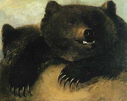 灰熊的武器和相貌`Weapons and Physiognomy of the Grizzly Bear (1846~1848) by George Catlin