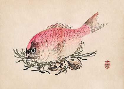 浮世绘鱼和蛤蜊的幻觉`Ukiyo Illustation Of Fish And Clams