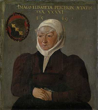 沙夫豪森的伊丽莎白·佩尔肖像`Portrait of Elisabeth Peyer of Schaffhausen (1569) by Abel Stimmer