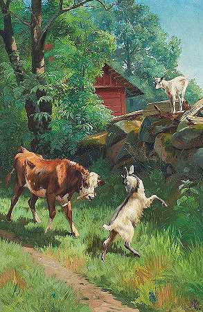 瑞典南部的外景，小牛和山羊在玩耍`South Swedish Exterior With Calf And Goats In Play