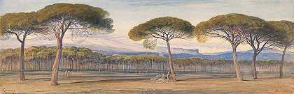 戛纳上空松林的景色`A View of the Pine Woods above Cannes by Edward Lear
