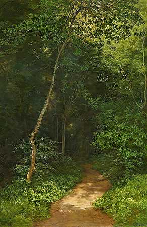 沃尔德威格森林跑道`Waldweg Forest Track by Robert Zund