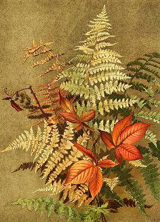 秋蕨`Autumn Ferns by Ellen Fisher