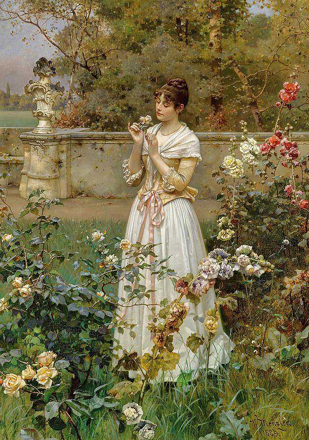 万紫千红`The Rose of all Roses by Wilhelm Menzler