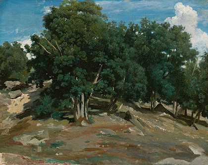 枫丹白露巴斯布莱奥的橡树`Fontainebleau; Oak Trees at Bas~Bréau (1832) by Jean-Baptiste-Camille Corot
