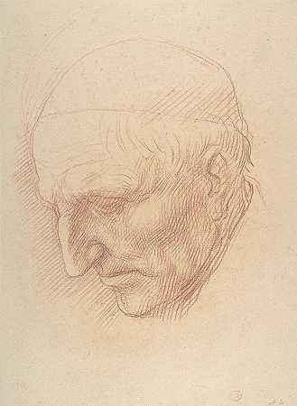小猎犬的头`Head of a Beadle (1837–1911) by Alphonse Legros
