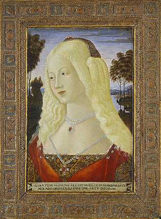 一位女士的肖像`Portrait of a Lady (c. 1485) by Neroccio De&; Landi