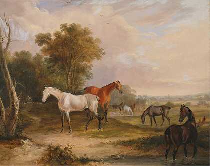 马吃草一匹灰色的种马和母马在草地上吃草`Horses Grazing; a Grey Stallion Grazing with Mares in a Meadow (1830) by Francis Calcraft Turner