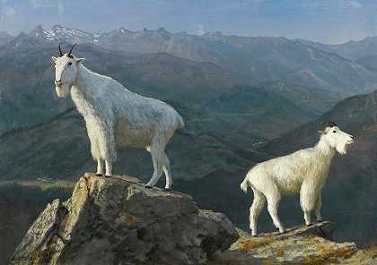 山山羊`Mountain goats by Albert Bierstadt