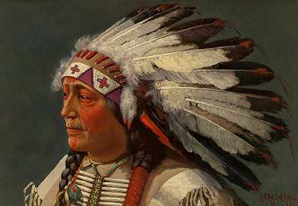 尤特印第安酋长`Ute Indian Chief by Charles Craig