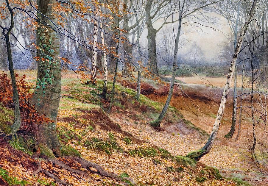 秋天的银山毛榉和山毛榉木`Silver Beech and Beech Wood in Autumn by James Thomas Watts