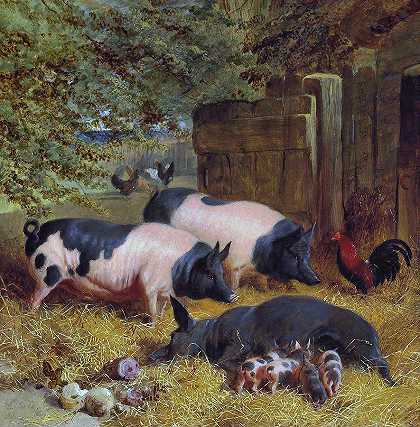 伯克希尔的马鞍和鸡在铺着稻草的院子里`Berkshire Saddlebacks and Chickens in a Straw-Bedded Yard by John Frederick Herring Sr