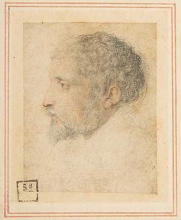 左边的头像`Head of man in Profile to Left (1503–40) by Parmigianino