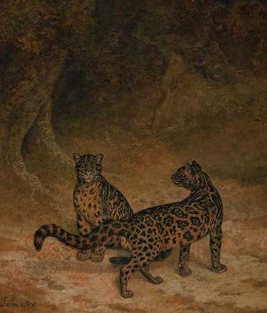 云豹`Clouded Leopards by Jacques-Laurent Agasse