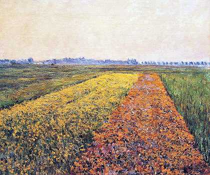 Gennevilliers的黄色田野`The Yellow Fields at Gennevilliers by Gustave Caillebotte