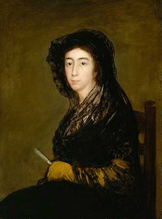 阿玛莉亚·博内尔斯·德科斯塔女士`Dona Amalia Bonells de Costa (ca. 1805) by Francisco de Goya