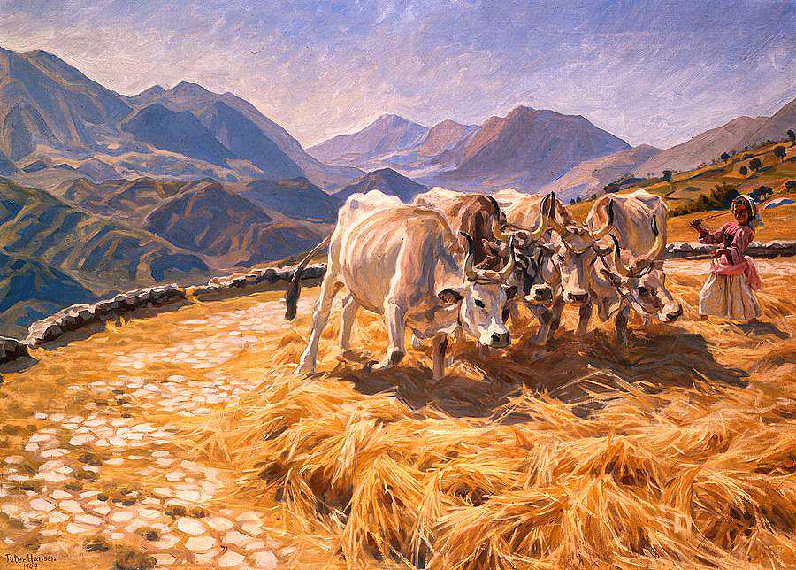 打谷牛，西维塔·德安蒂诺`Threshing Oxen, Civita d\’Antino by Peter Hansen