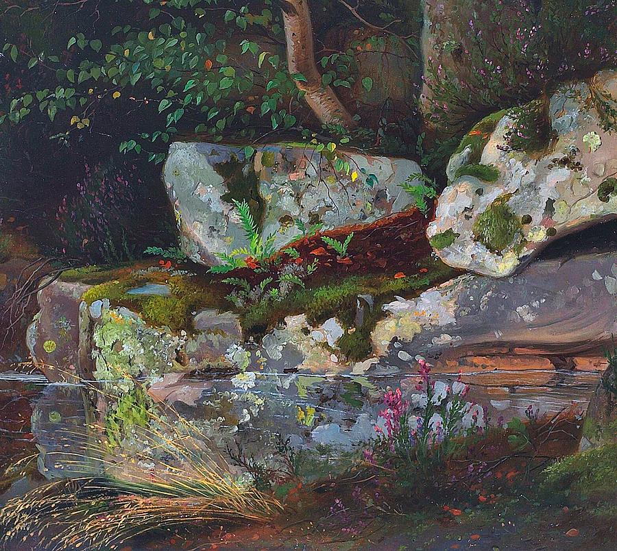 有大石头、森林花朵和小蕨类植物的溪流`Stream with Large Stone, Forest Flowers and Small Ferns by Carl Balsgaard