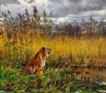 风景中的老虎`A Tiger in a Landscape by Geza Vastaugh