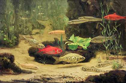 水族馆里的金银鱼`Gold and Silver Fish in an Aquarium by Gerrit Willem Dijsselhof
