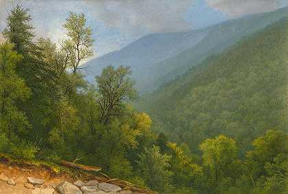 沿着山谷往下看`View Down the Valley by Frederick Frank Durant