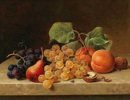 Emilie Preyer的《葡萄、桃子、梨和坚果静物》`Still Life with Grapes, Peaches, a Pear and Nuts (1869) by Emilie Preyer
