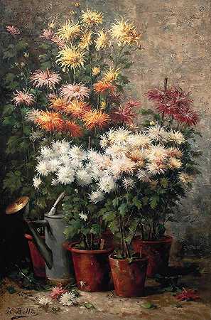休伯特·贝利斯的《菊花》`Chrysanthemums by Hubert Bellis