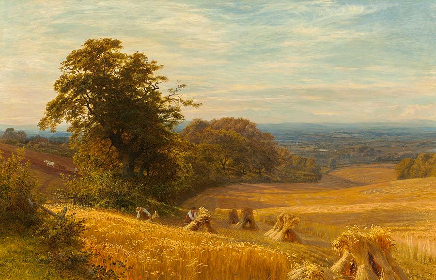 伯克斯阿宾顿的玉米田`Cornfield at Abingdon, Berks by George Cole