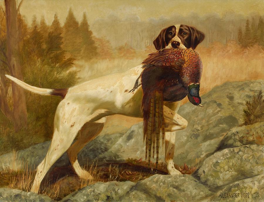 野鸡指针`Pointer with Pheasant by Alexander Pope