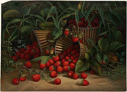 弗吉尼亚格兰贝里草莓`Strawberries (ca. 1861–1897) by Virginia Granberry