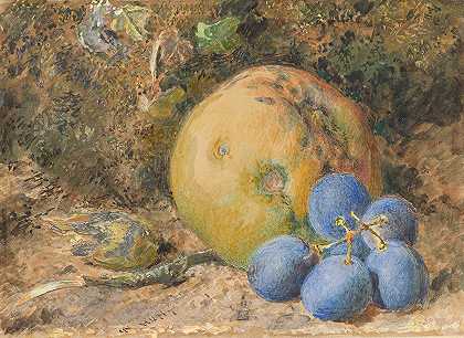威廉·亨利·亨特在长满青苔的河岸上放了一个苹果、葡萄和榛子`An Apple, Grapes and a Hazelnut on a Mossy Bank (1830–64) by William Henry Hunt